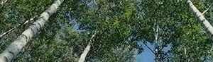 會社紹介映像
